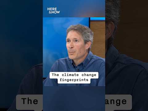 Extreme Weather's Climate Fingerprints: A "Here & Now" Look