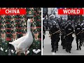 23 Amazing Facts Of The World Mind Blowing Facts