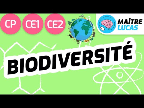 La biodiversité CE2 - CE1 - CP - Cycle 2 - Questionner le monde - Le monde du vivant