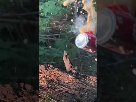 Sig Sauer GSR 1911 Co2 4.5mm Air Pistol Review