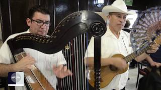 LA BAMBA (de Veracruz para el Mundo y el DF)