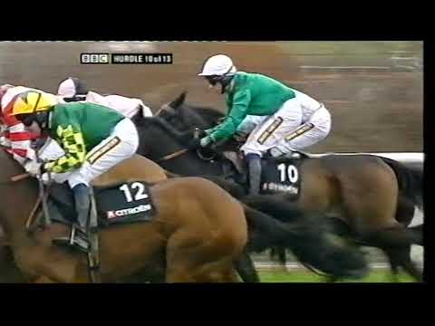 2008 Sefton Novice Hurdle - Aintree meeting