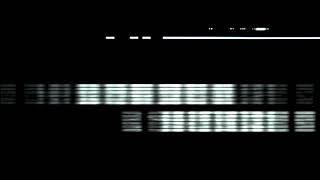 P Lo - Give You The World Official Music Video