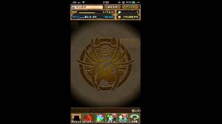 【パズドラ】今日こそは打倒コロシアム