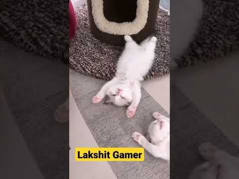 Me And My Friends After Night Out 😅😅.