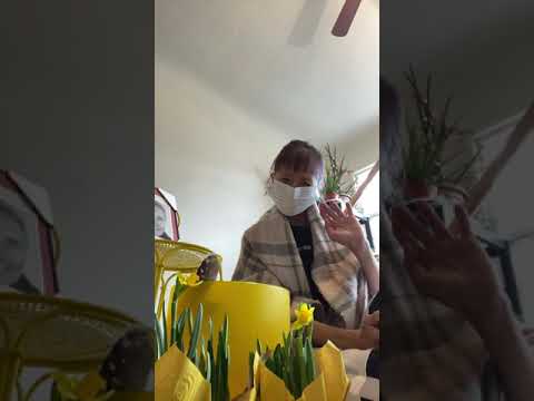 01/27/2021 Celebrating Stanley Holden Birthday 🥳💐🌼🐣🐔🌂👠🕊🦜🦥🌴