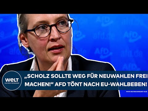 ALICE WEIDEL: "Scholz sollte den Weg für Neuwahlen frei machen!" AfD tönt nach Eurowahl-Beben!