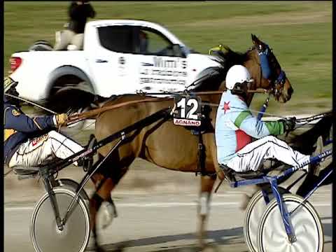 Trotto 21/01/2020 - 2ª corsa