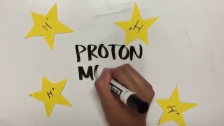Electron Transport Chain - The Proton-Motive Force