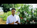Client Testimonial Gautam HosaChiguru