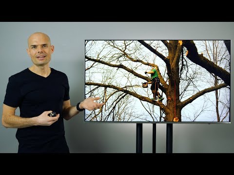 Shalom In Our Trees | Teaching Series | EP003