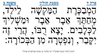 מסכת חולין פרק ד משנה ב