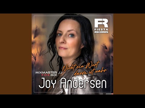 Nicht ein Wort davon ist wahr (Mixmaster JJ Fox Mix)