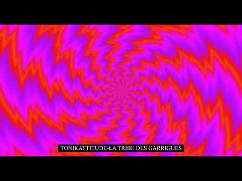 Tonikattitude-La Tribe Des Garrigues #001