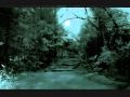 Forest Stream - Mel Kor 