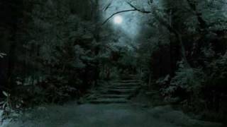 Forest Stream - Mel Kor