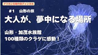 【山形旅行#1】 大人が夢中になる場所！山形・加茂水族館100種のクラゲ＆天童温泉「湯坊いちらく」クラフトビールの旅