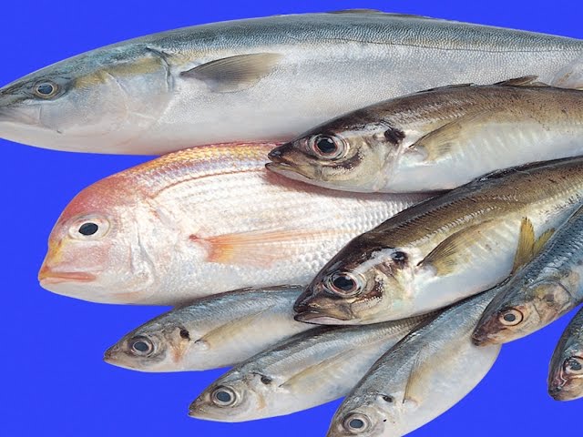 А рыбка-то золотая!