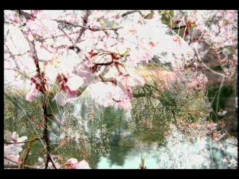 Waiting for Hazumi, Array mbira