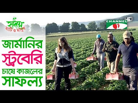 download lagu mp3 mp4 Strawberry In German, download lagu Strawberry In German gratis, unduh video klip Strawberry In German