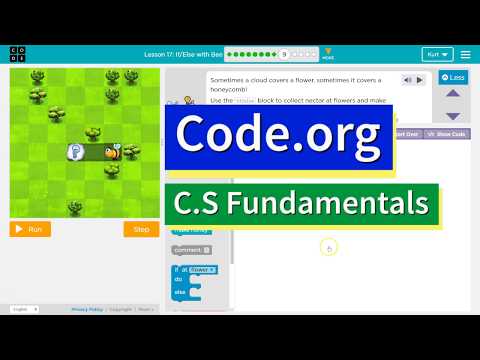 If / Else with Bee CS Express - 2018 Version - Lesson 17.9 and Course D 14.9 Code.org Tutorial