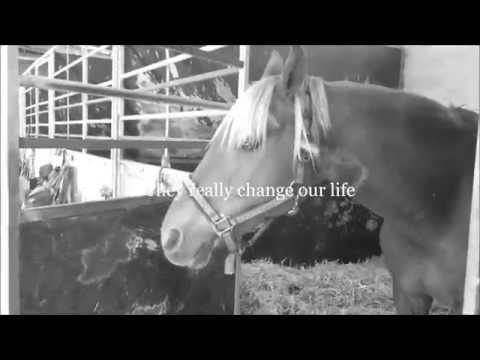 THEY REALLY CHANGE OUR LIFE | Annette Larsen