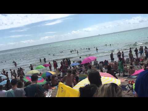 ROTOTOM  SUNSPLASH 2015