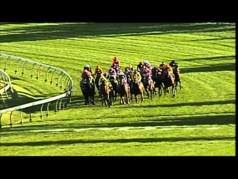 2008 - Emirates Doncaster Handicap - Triple Honour