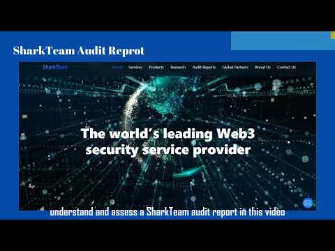 How to Read an Audit Report | SharkTeam