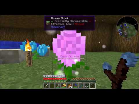 Direwolf20 #022 Jaded Amaranthus