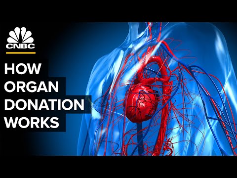 Why More Than 100,000 Americans Are Waiting For Organs