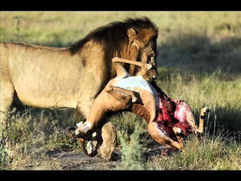 Butteryass Trick Tips - Buttery Ass Mondays Ep15