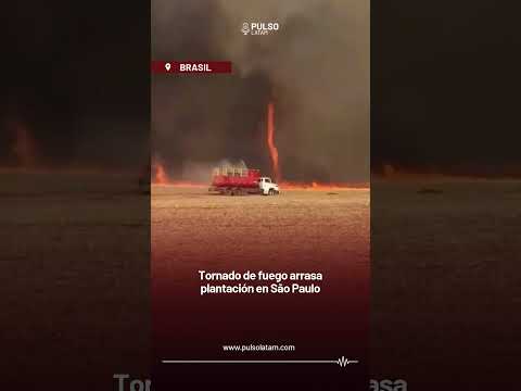 PARAGUAY - Tornado de fuego arrasa plantación en São Paulo