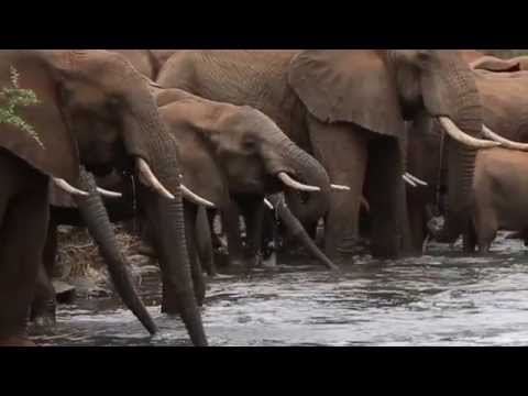 ZaVen - Kármán Line (Original Mix)