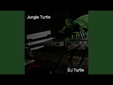 Jungle Turtle