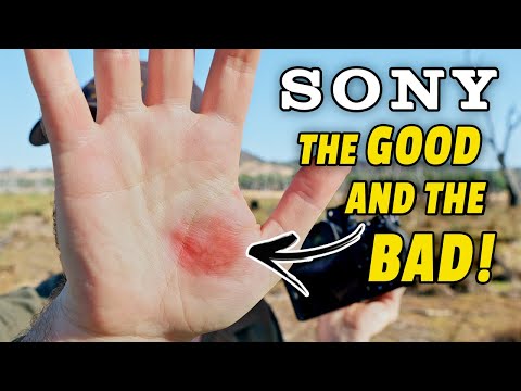 My SONY Experience: PROS And CONS For WILDLIFE