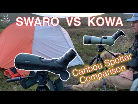 Alaska Caribou - Swarovski/Kowa Spotting Scope Review