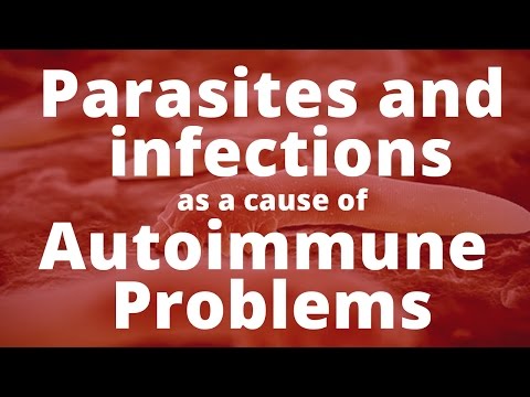 Parasites and other infections as a cause of Autoimmune Problems