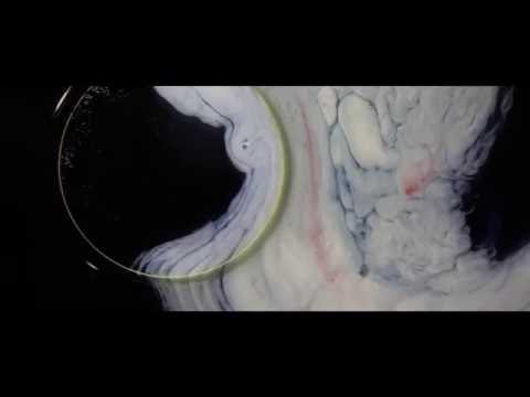 The Mud Howlers - Magic Place (Visualizer)