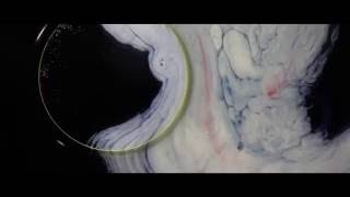 The Mud Howlers - Magic Place (Visualizer)