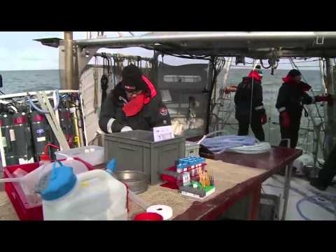 Station longue en mer de Sibérie orientale - Expédition Tara Oceans Polar Circle - 3 septembre 2013