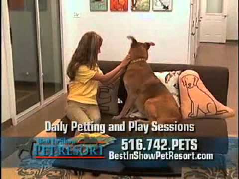 Best In Show Pet Resort - Customer Success Story
