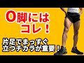 O客がひどくなるのを食い止めろ!O脚はコレ!片足でまっすぐ立つチカラが重要!中殿筋と内転筋を共同で使うブルガリアンスクワットが効果的!ランジ系エクササイズをやるべし!