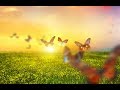 Peaceful Music, Relaxing Music, Instrumental Music "Summer Wind" by Tim Janis
