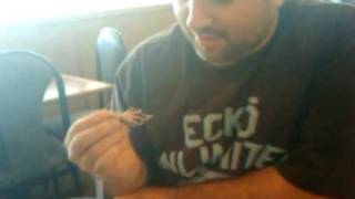 Joey Fatone eatin octopus