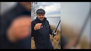 Какая рыба клюет на сало осенью