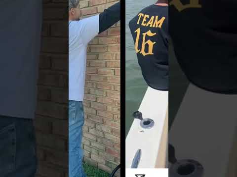 won't do me like Sammy did gotti