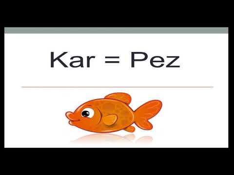 Learn K'iche' in Guatemala: How to pronounce 20 Creatures of the World