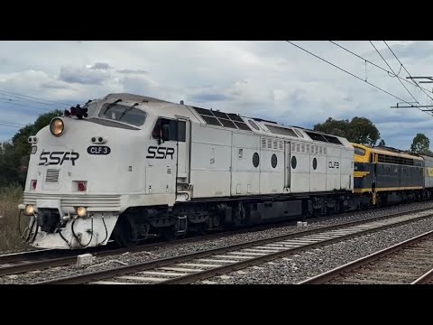 Empty SSR Grain Train through Coolaroo - Locos CLF3 S303 GM27 & CLP12