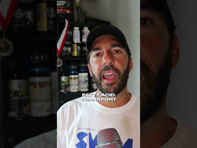 Bodybuilding.com Elite Thermo + BCAA Perfect for Fasted Cardio